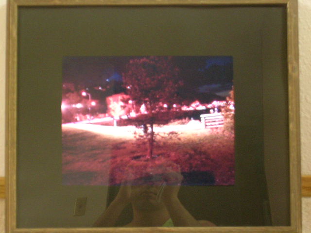 Digital Picture Frame